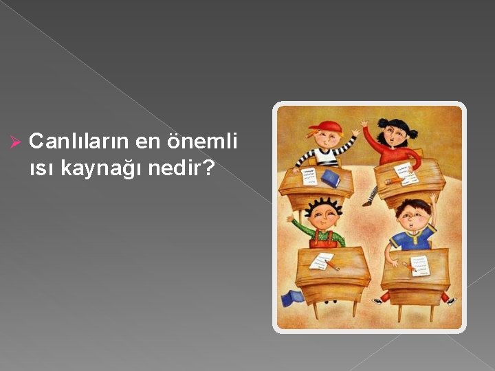 Ø Canlıların en önemli ısı kaynağı nedir? 