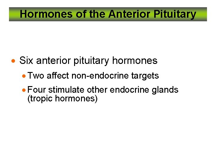 Hormones of the Anterior Pituitary · Six anterior pituitary hormones · Two affect non-endocrine