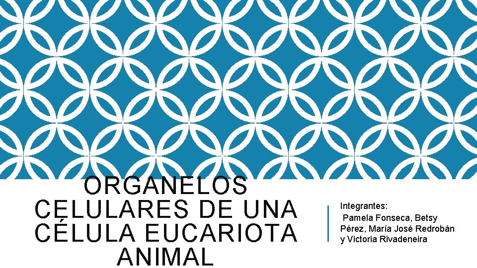 ORGANELOS CELULARES DE UNA CÉLULA EUCARIOTA ANIMAL Integrantes: Pamela Fonseca, Betsy Pérez, María José