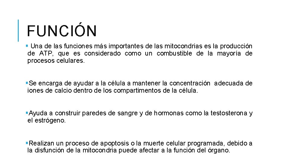 FUNCIÓN § Una de las funciones más importantes de las mitocondrias es la producción