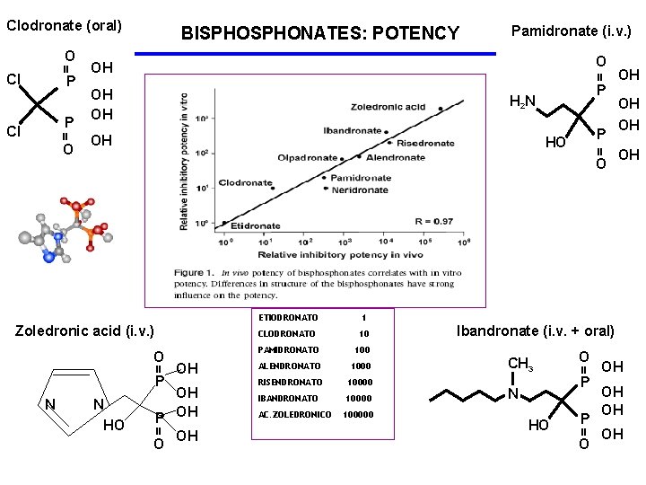 Clodronate (oral) P = CI O = OH OH OH P HO O Zoledronic