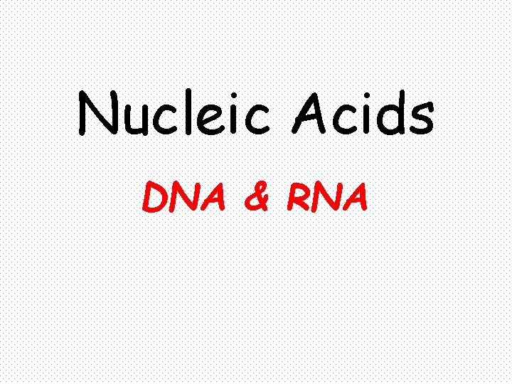 Nucleic Acids DNA & RNA 