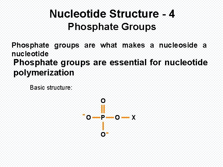 Nucleotide Structure - 4 Phosphate Groups Phosphate groups are what makes a nucleoside a