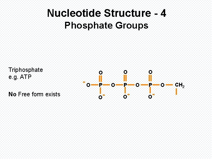 Nucleotide Structure - 4 Phosphate Groups Triphosphate e. g. ATP O No Free form