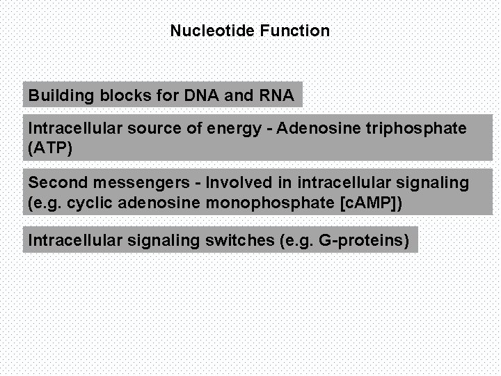 Nucleotide Function Building blocks for DNA and RNA Intracellular source of energy - Adenosine