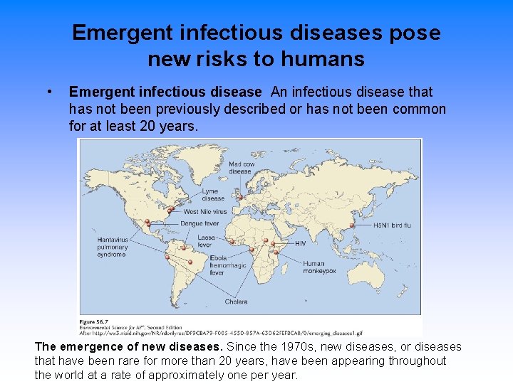 Emergent infectious diseases pose new risks to humans • Emergent infectious disease An infectious