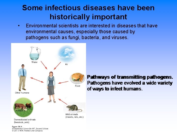 Some infectious diseases have been historically important • Environmental scientists are interested in diseases