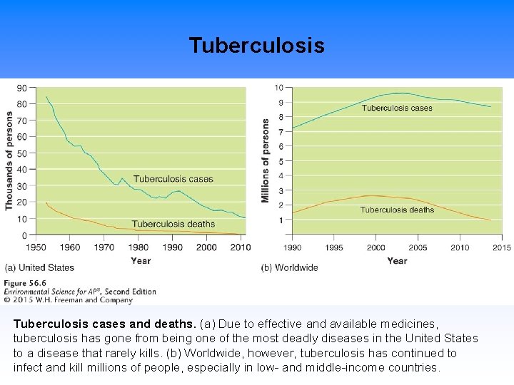 Tuberculosis cases and deaths. (a) Due to effective and available medicines, tuberculosis has gone