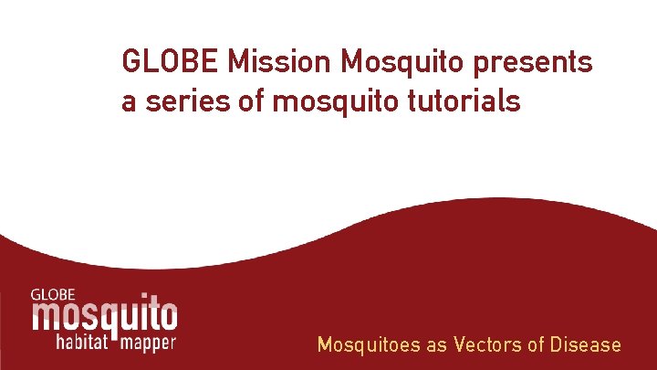 GLOBE Mission Mosquito presents a series of mosquito tutorials Mosquitoes as Vectors of Disease