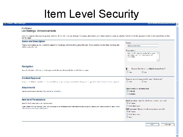 Item Level Security 