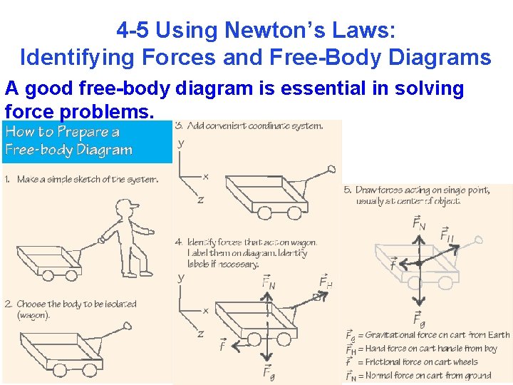 4 -5 Using Newton’s Laws: Identifying Forces and Free-Body Diagrams A good free-body diagram