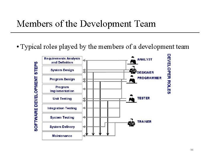 Members of the Development Team • Typical roles played by the members of a