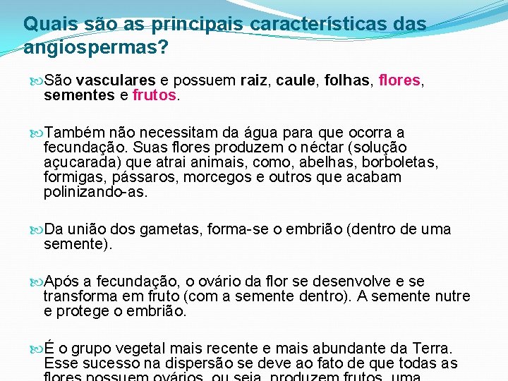 Quais são as principais características das angiospermas? São vasculares e possuem raiz, caule, folhas,