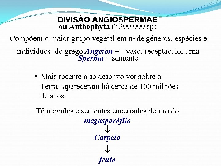 DIVISÃO ANGIOSPERMAE ou Anthophyta (>300. 000 sp) Compõem o maior grupo vegetal em no