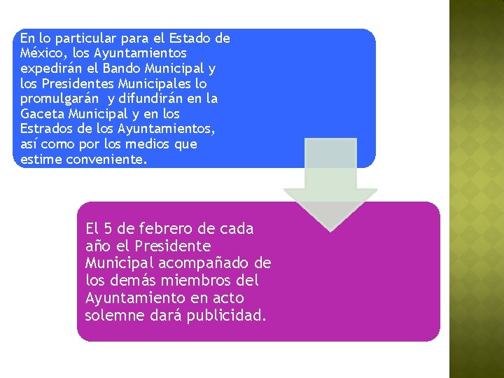 En lo particular para el Estado de México, los Ayuntamientos expedirán el Bando Municipal