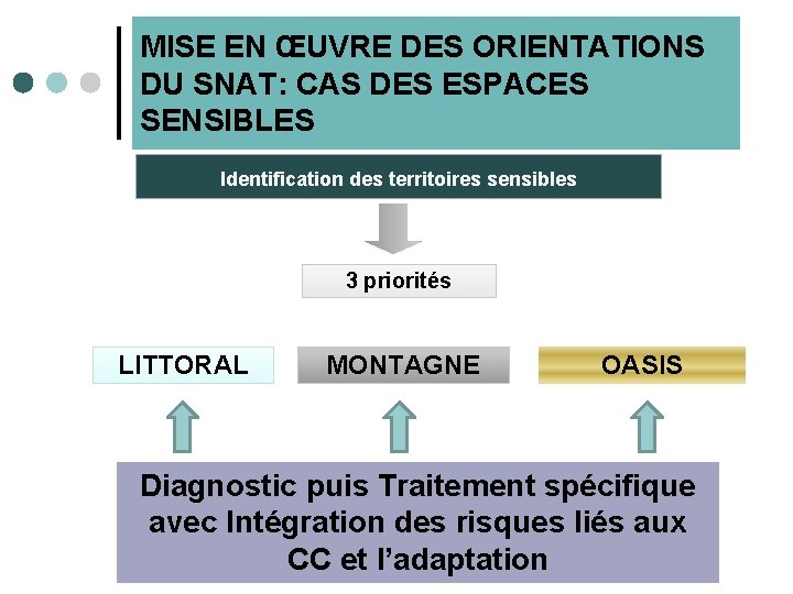 MISE EN ŒUVRE DES ORIENTATIONS DU SNAT: CAS DES ESPACES SENSIBLES Identification des territoires