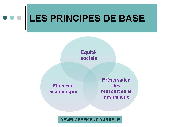 LES PRINCIPES DE BASE Equité sociale Efficacité économique Préservation des ressources et des milieux