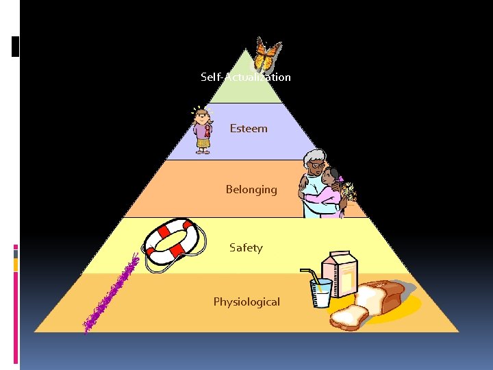 Self-Actualization Esteem Belonging Safety Physiological 