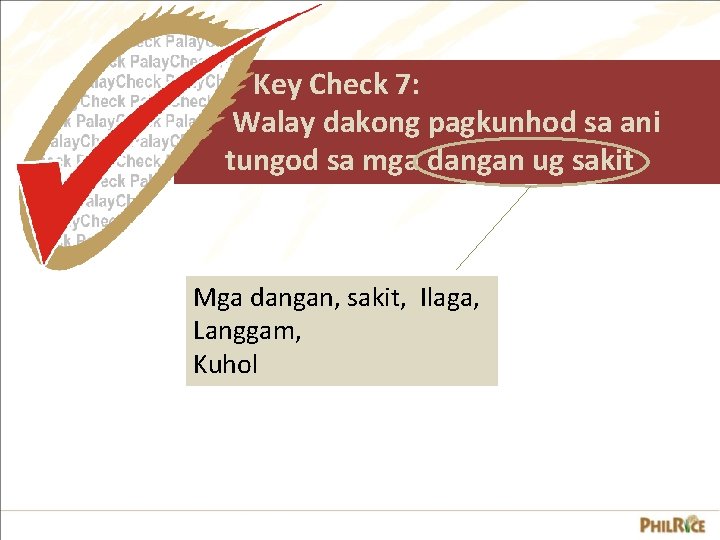 Key Check 7: Walay dakong pagkunhod sa ani tungod sa mga dangan ug sakit Key Check 7: Walay dakong pagkunhod sa ani tungod sa mga dangan ug sakit