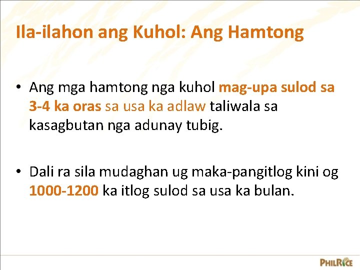 Ila-ilahon ang Kuhol: Ang Hamtong • Ang mga hamtong nga kuhol mag-upa sulod sa Ila-ilahon ang Kuhol: Ang Hamtong • Ang mga hamtong nga kuhol mag-upa sulod sa