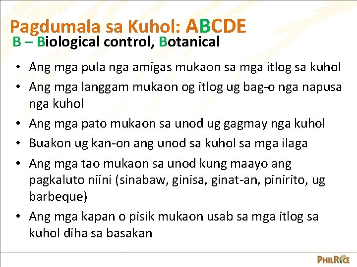 Pagdumala sa Kuhol: ABCDE B – Biological control, Botanical • Ang mga pula nga Pagdumala sa Kuhol: ABCDE B – Biological control, Botanical • Ang mga pula nga