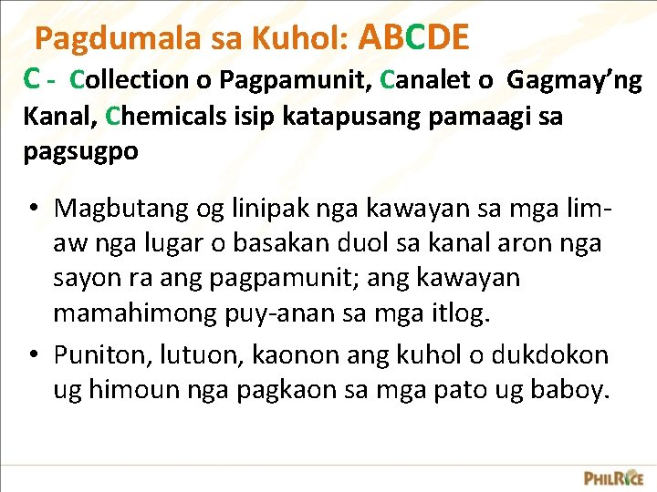 Pagdumala sa Kuhol: ABCDE C - Collection o Pagpamunit, Canalet o Gagmay’ng Kanal, Chemicals Pagdumala sa Kuhol: ABCDE C - Collection o Pagpamunit, Canalet o Gagmay’ng Kanal, Chemicals