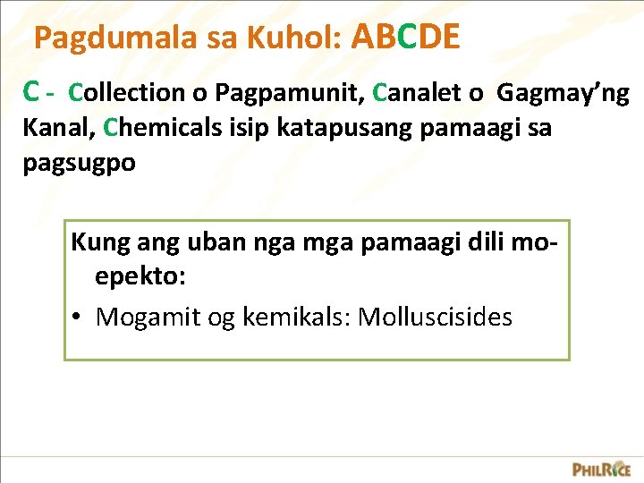 Pagdumala sa Kuhol: ABCDE C - Collection o Pagpamunit, Canalet o Gagmay’ng Kanal, Chemicals Pagdumala sa Kuhol: ABCDE C - Collection o Pagpamunit, Canalet o Gagmay’ng Kanal, Chemicals