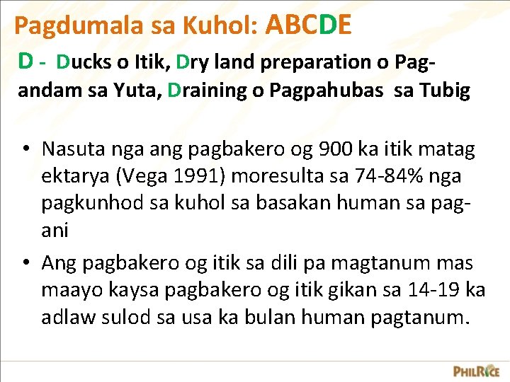 Pagdumala sa Kuhol: ABCDE D - Ducks o Itik, Dry land preparation o Pag- Pagdumala sa Kuhol: ABCDE D - Ducks o Itik, Dry land preparation o Pag-
