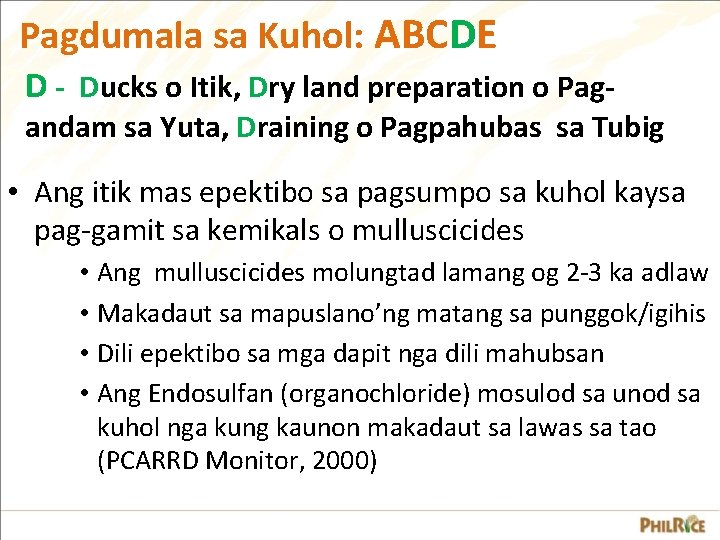 Pagdumala sa Kuhol: ABCDE D - Ducks o Itik, Dry land preparation o Pag- Pagdumala sa Kuhol: ABCDE D - Ducks o Itik, Dry land preparation o Pag-