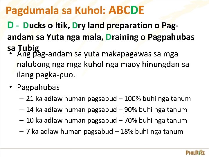 Pagdumala sa Kuhol: ABCDE D - Ducks o Itik, Dry land preparation o Pag- Pagdumala sa Kuhol: ABCDE D - Ducks o Itik, Dry land preparation o Pag-