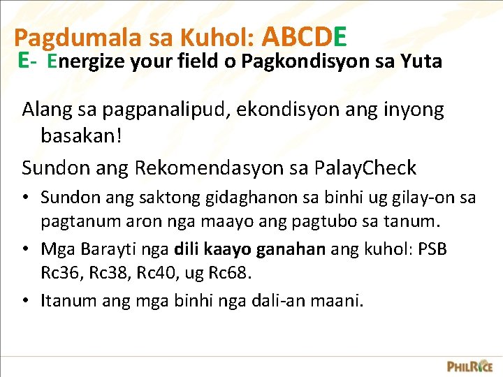 Pagdumala sa Kuhol: ABCDE E- Energize your field o Pagkondisyon sa Yuta Alang sa Pagdumala sa Kuhol: ABCDE E- Energize your field o Pagkondisyon sa Yuta Alang sa