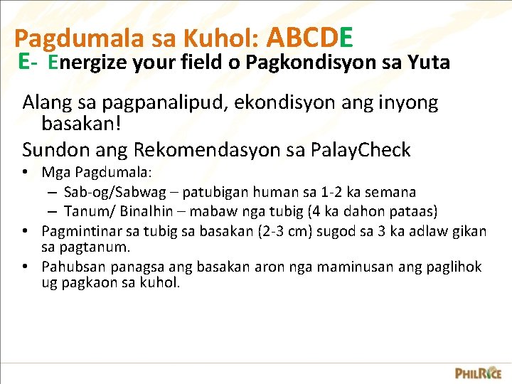 Pagdumala sa Kuhol: ABCDE E- Energize your field o Pagkondisyon sa Yuta Alang sa Pagdumala sa Kuhol: ABCDE E- Energize your field o Pagkondisyon sa Yuta Alang sa