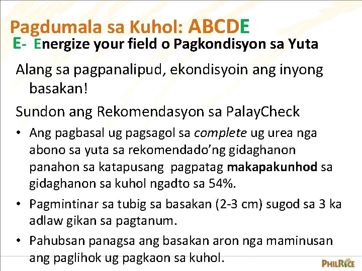 Pagdumala sa Kuhol: ABCDE E- Energize your field o Pagkondisyon sa Yuta Alang sa Pagdumala sa Kuhol: ABCDE E- Energize your field o Pagkondisyon sa Yuta Alang sa