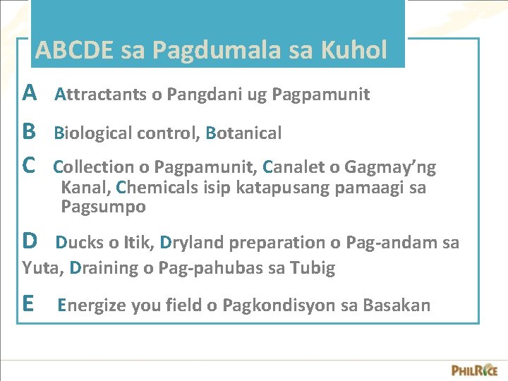 ABCDE sa Pagdumala sa Kuhol A Attractants o Pangdani ug Pagpamunit B C Biological ABCDE sa Pagdumala sa Kuhol A Attractants o Pangdani ug Pagpamunit B C Biological