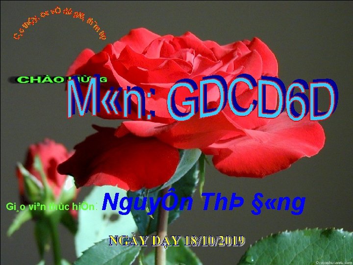 Gi¸o viªn thùc hiÖn: NguyÔn ThÞ § «ng 1 