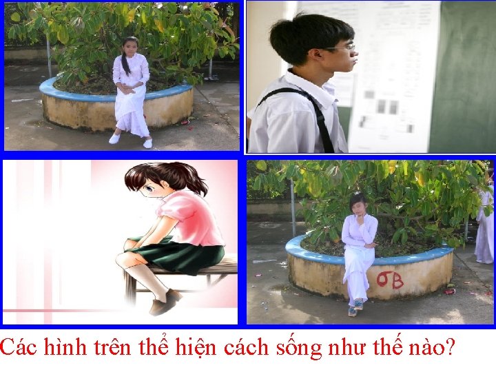 Các hình trên thể hiện cách sống như thế nào? 