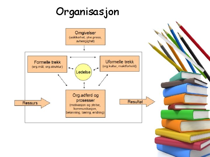 Organisasjon Organisasjon