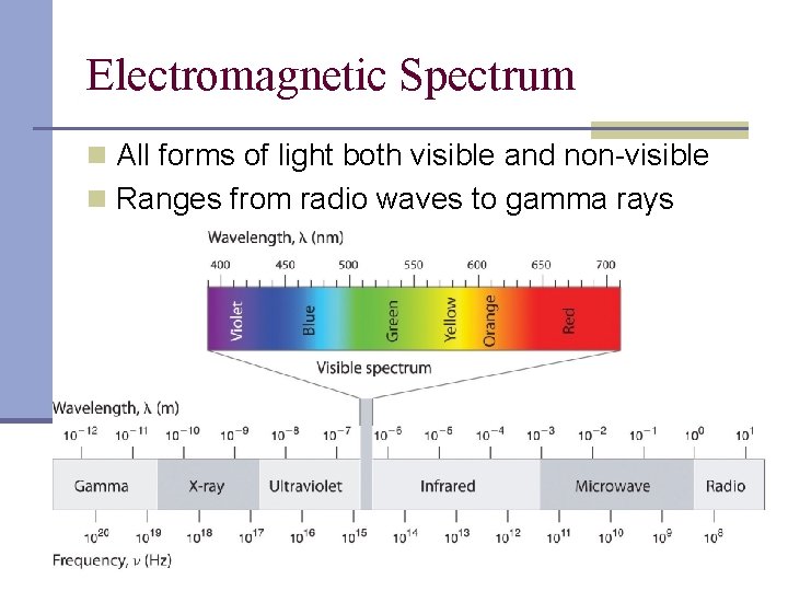 Electromagnetic Spectrum n All forms of light both visible and non-visible n Ranges from