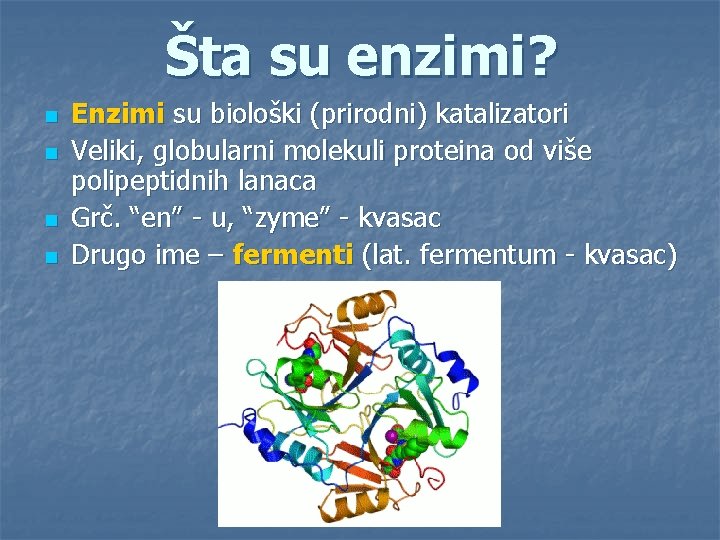 Šta su enzimi? n n Enzimi su biološki (prirodni) katalizatori Veliki, globularni molekuli proteina