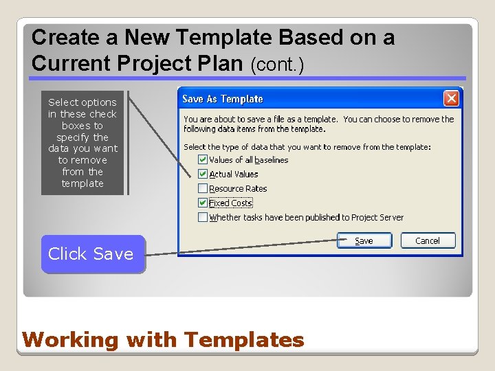 Create a New Template Based on a Current Project Plan (cont. ) Select options