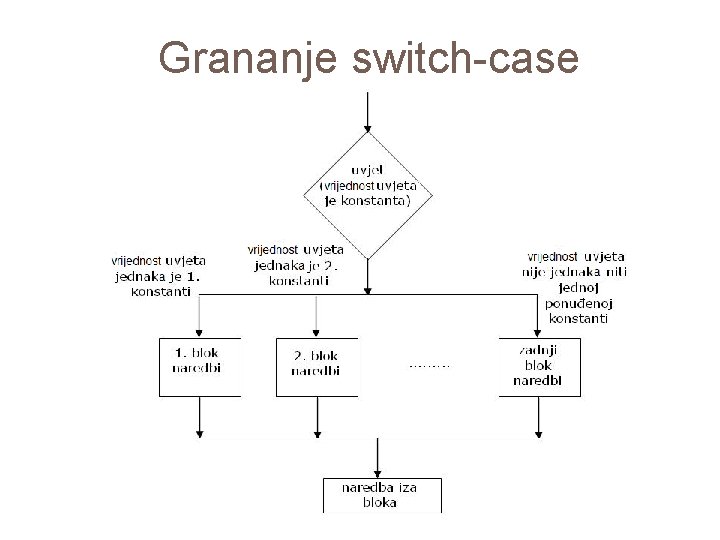 Grananje switch-case 53 