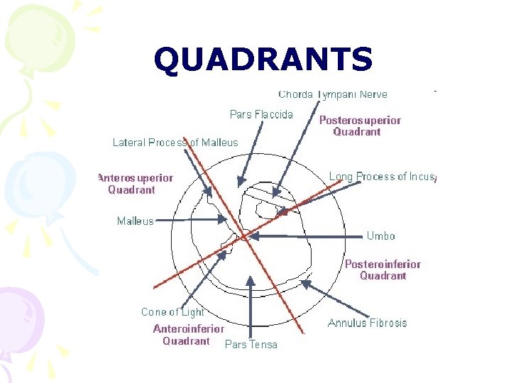 QUADRANTS QUADRANTS