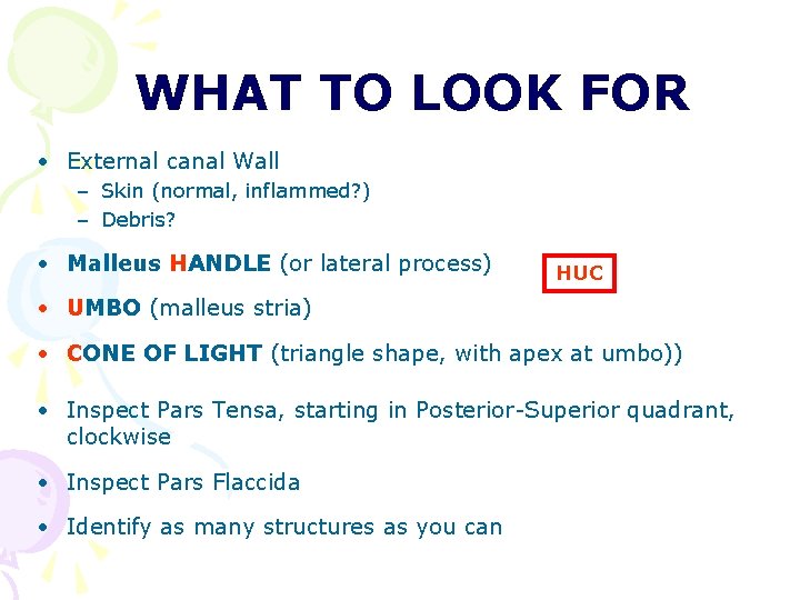 WHAT TO LOOK FOR • External canal Wall – Skin (normal, inflammed? ) – WHAT TO LOOK FOR • External canal Wall – Skin (normal, inflammed? ) –