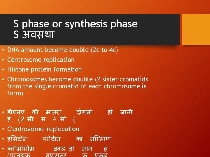 S phase or synthesis phase S अवसथ • DNA amount become double (2 c
