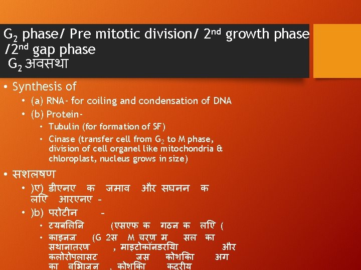 G 2 phase/ Pre mitotic division/ 2 nd growth phase /2 nd gap phase