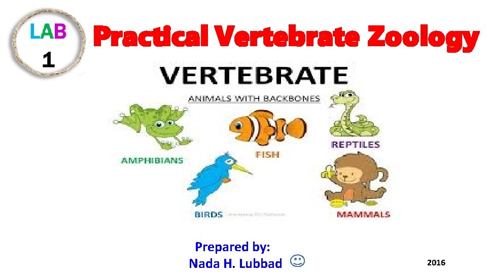 Practical Vertebrate Zoology Prepared by: Nada H. Lubbad 2016 