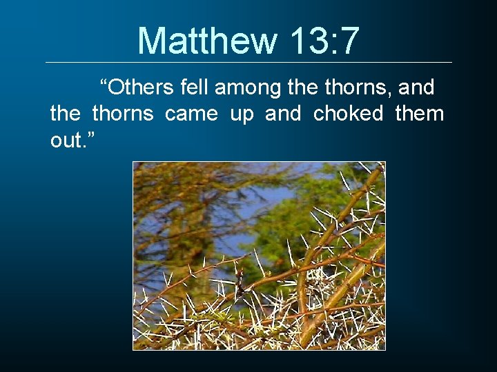 Matthew 13: 7 “Others fell among the thorns, and the thorns came up and