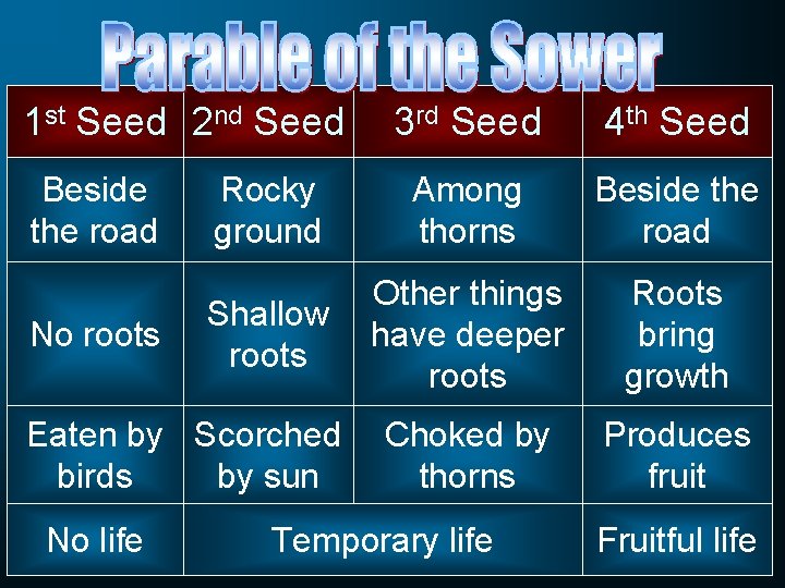 1 st Seed 2 nd Seed Beside the road No roots 3 rd Seed