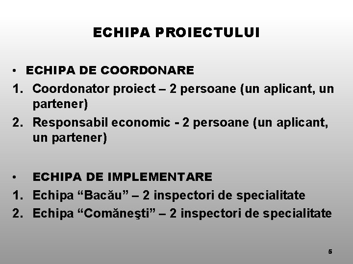 ECHIPA PROIECTULUI • ECHIPA DE COORDONARE 1. Coordonator proiect – 2 persoane (un aplicant,