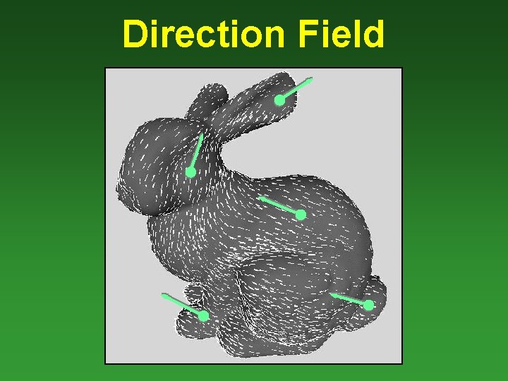 Direction Field 